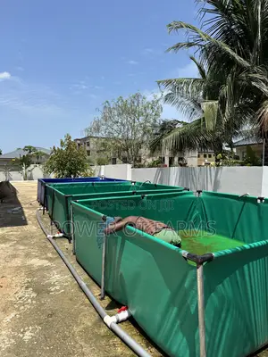 Tarpaulin Pond