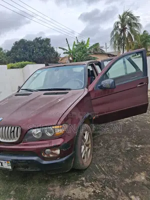 BMW X5 2005 Burgundy