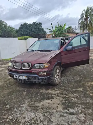 BMW X5 2005 Burgundy