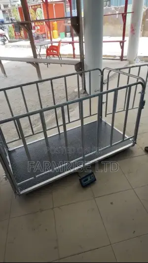 300kg Digital Platform Scale