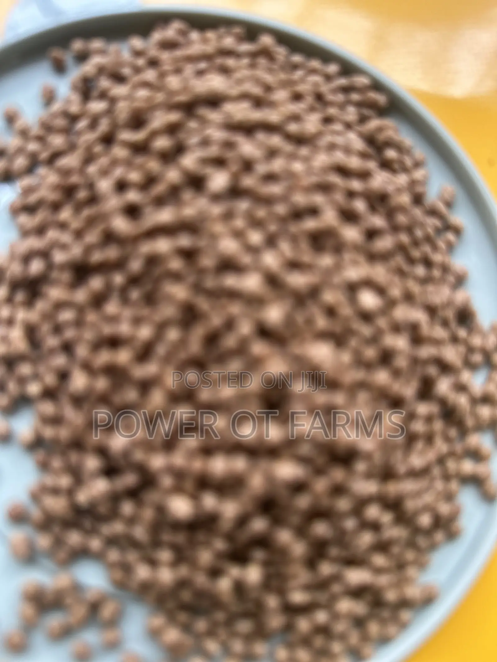 High Quality Fish Feed