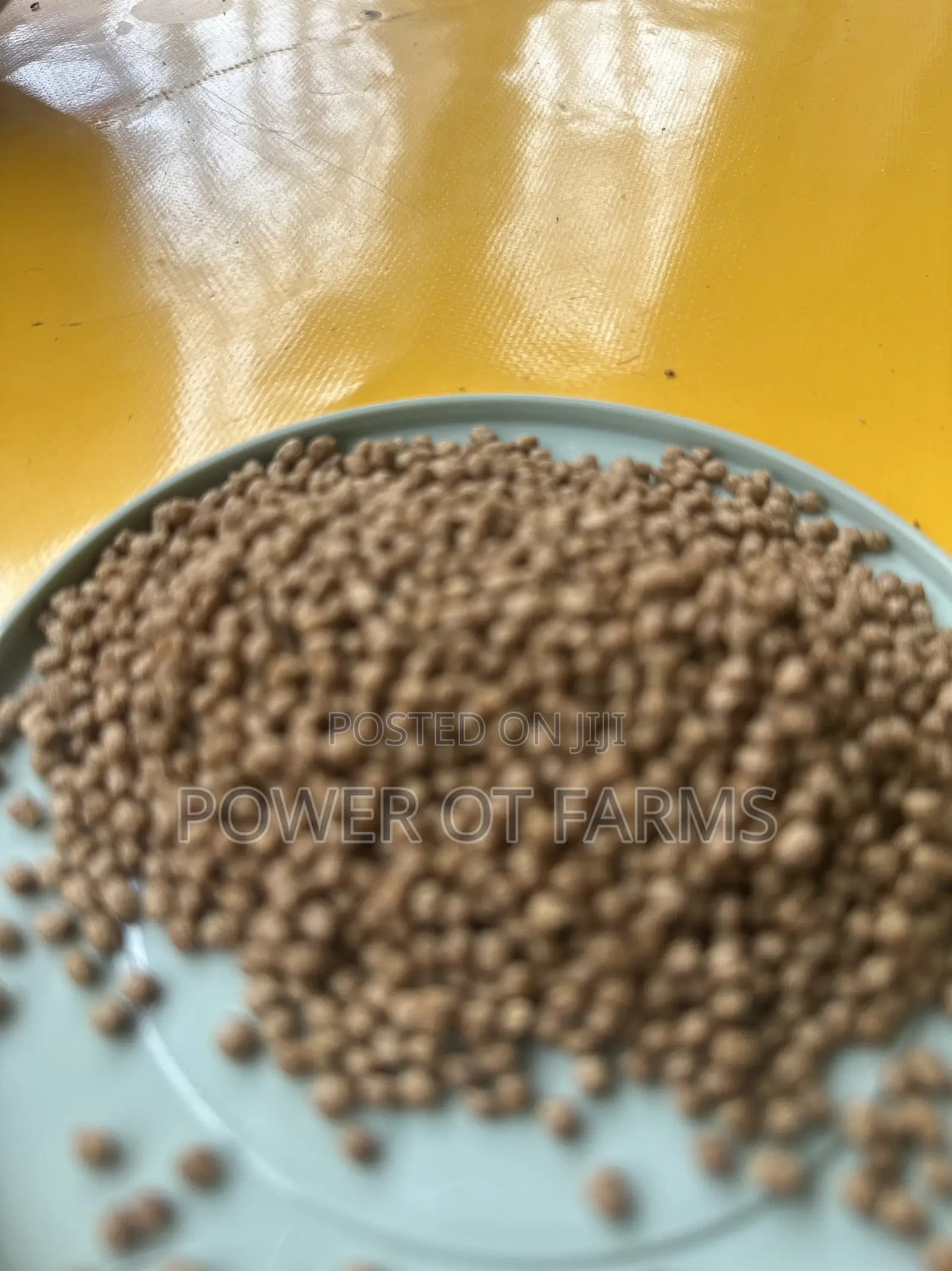 High Quality Fish Feed