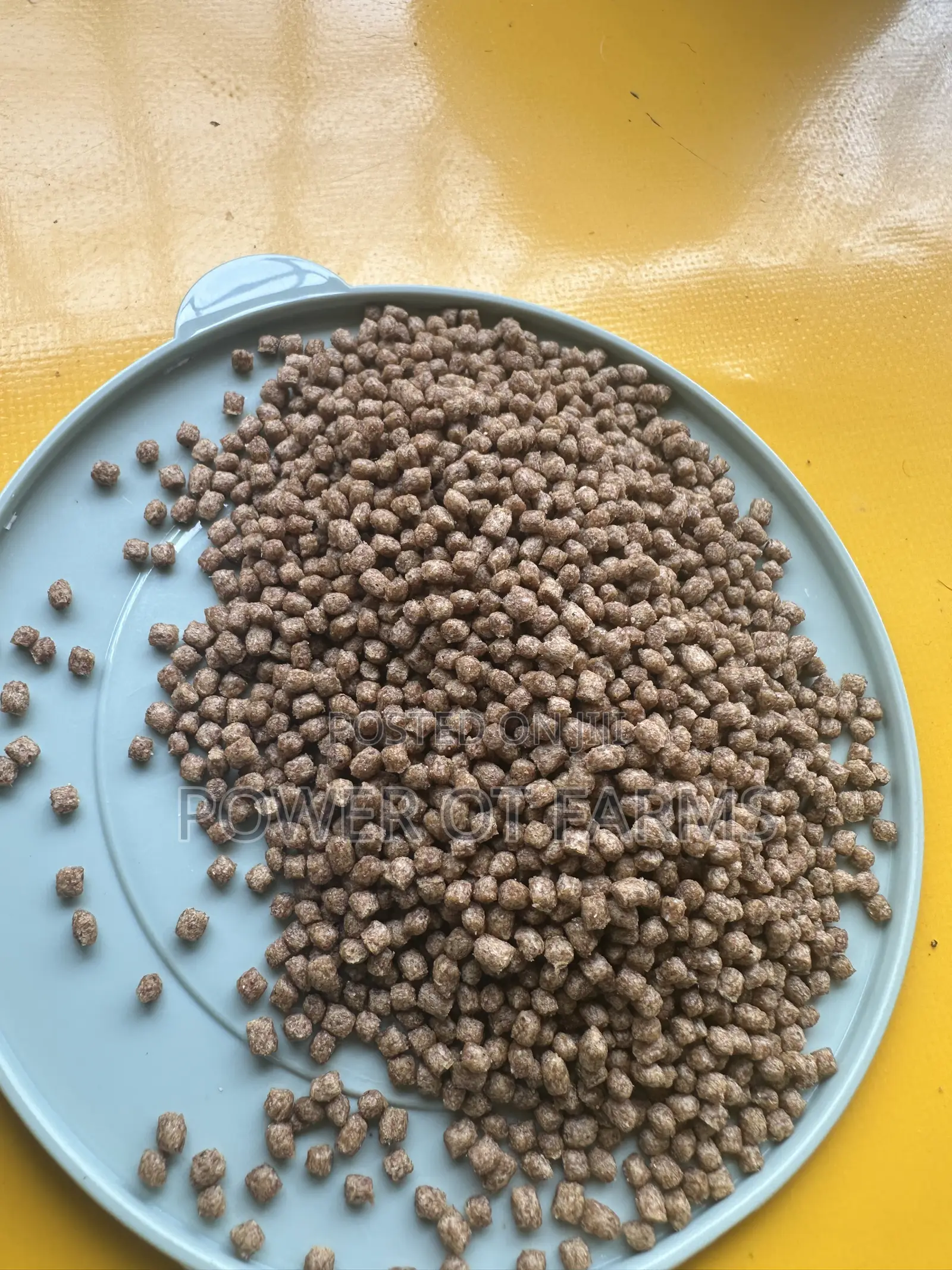 High Quality Fish Feed