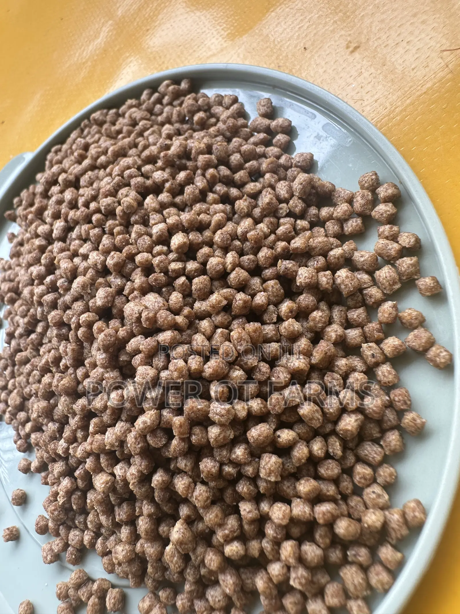 High Quality Fish Feed