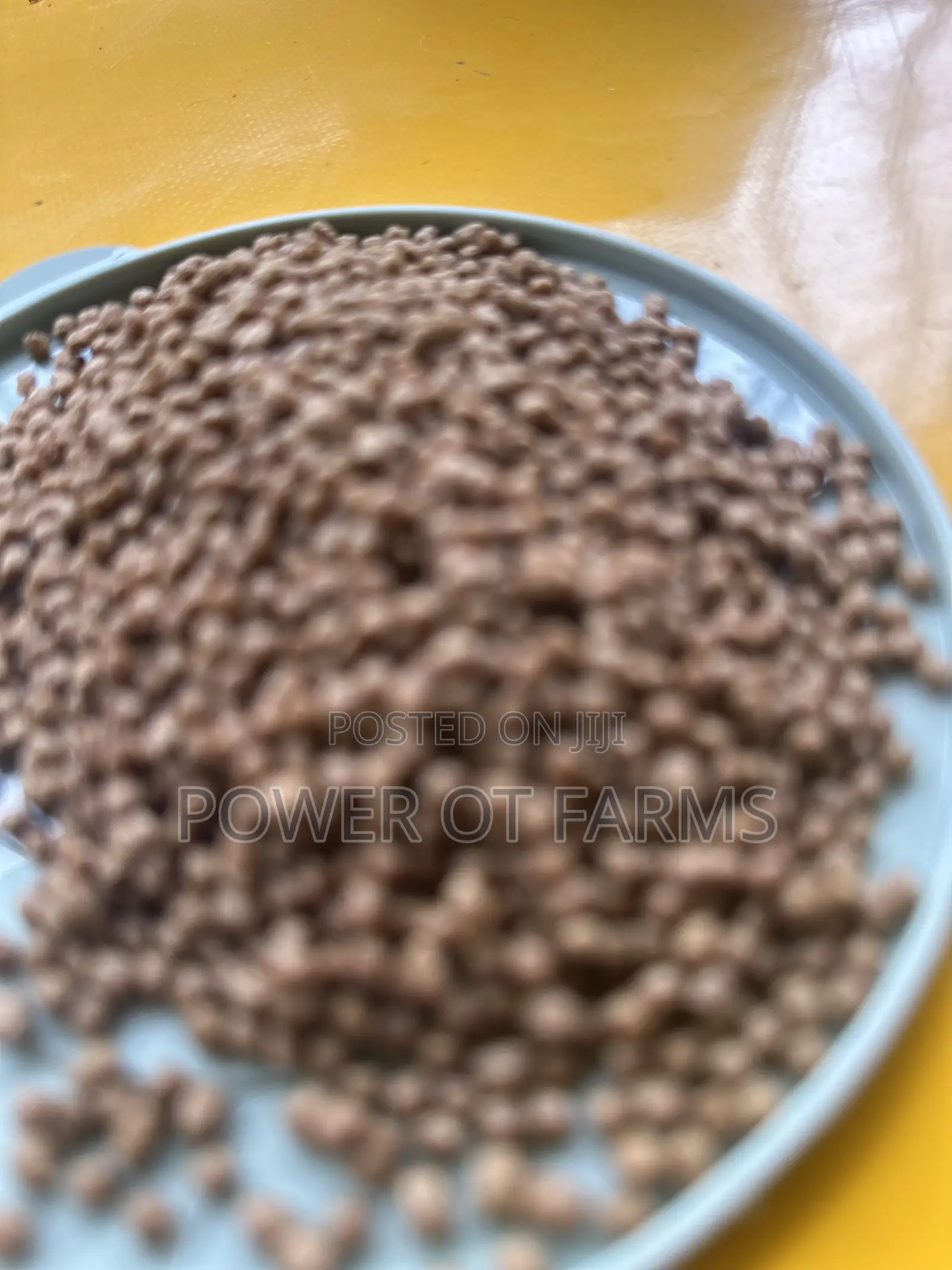 High Quality Fish Feed
