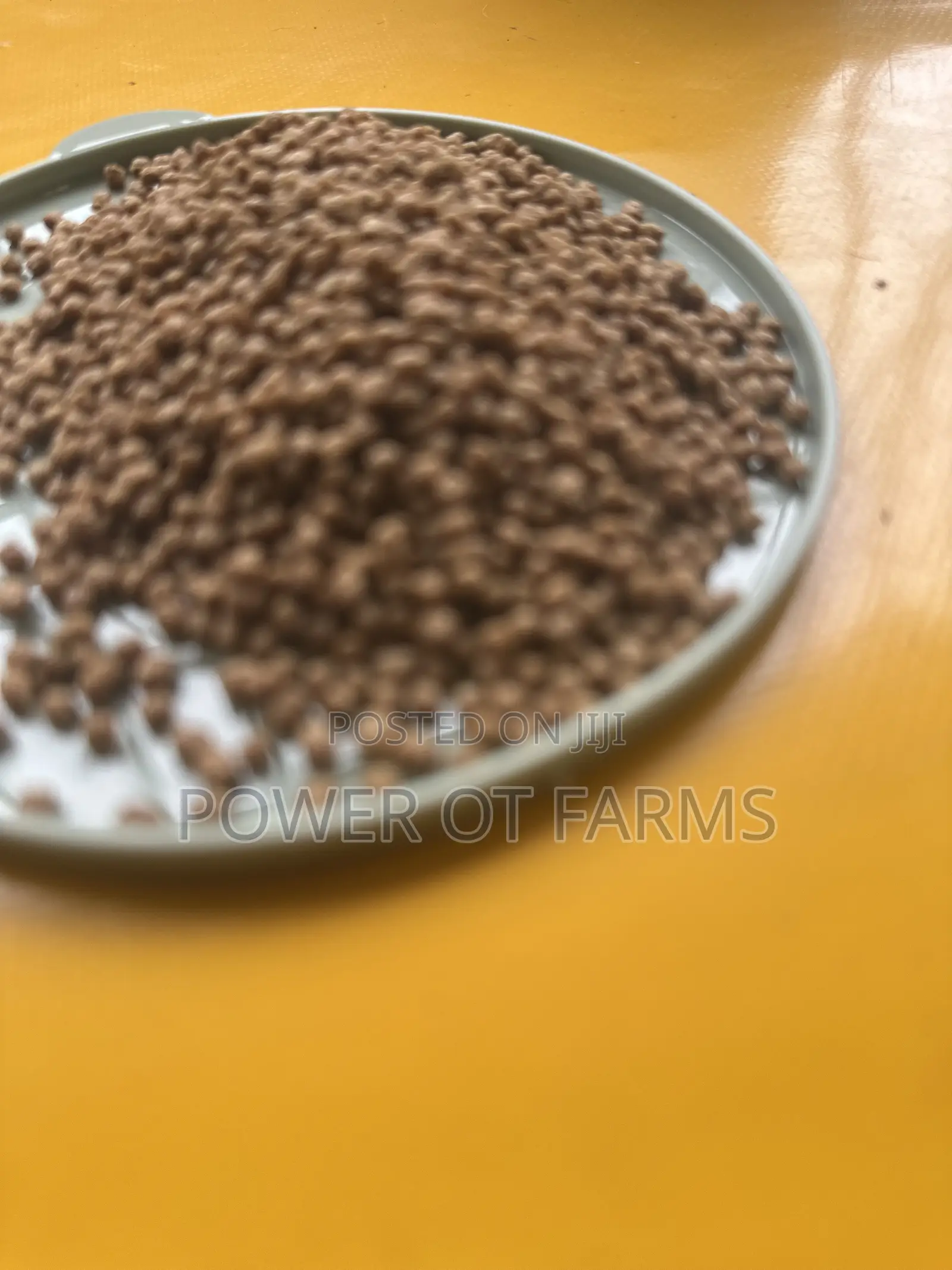 High Quality Fish Feed