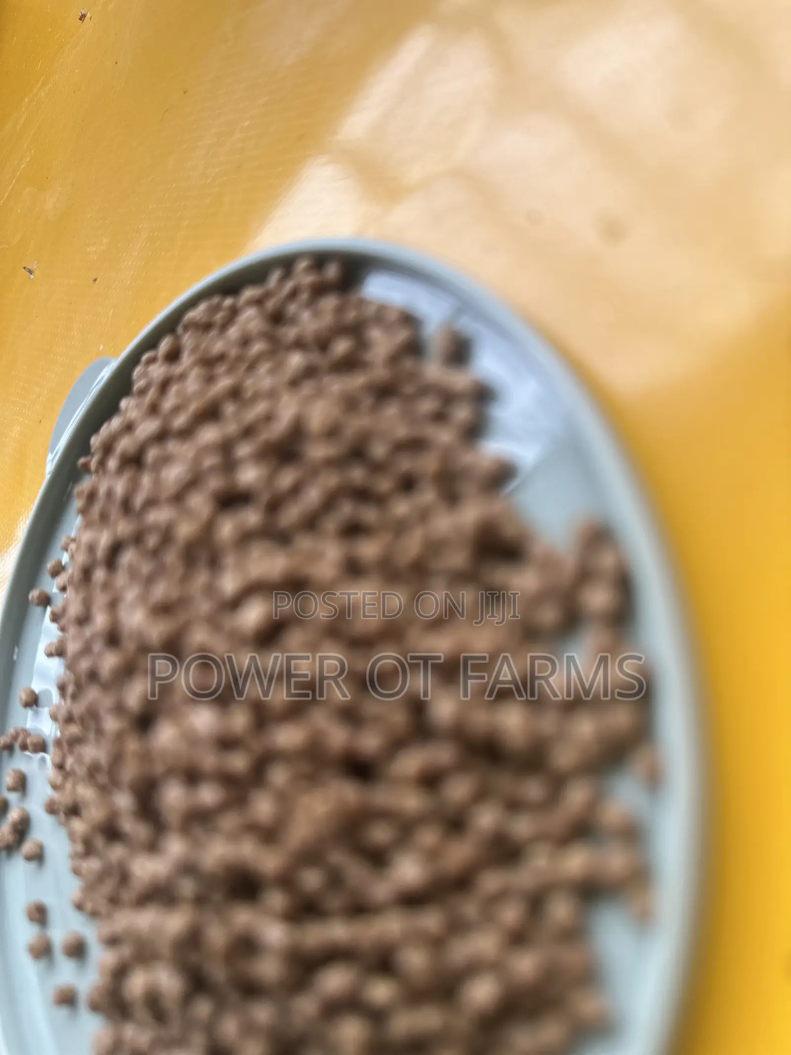 High Quality Fish Feed