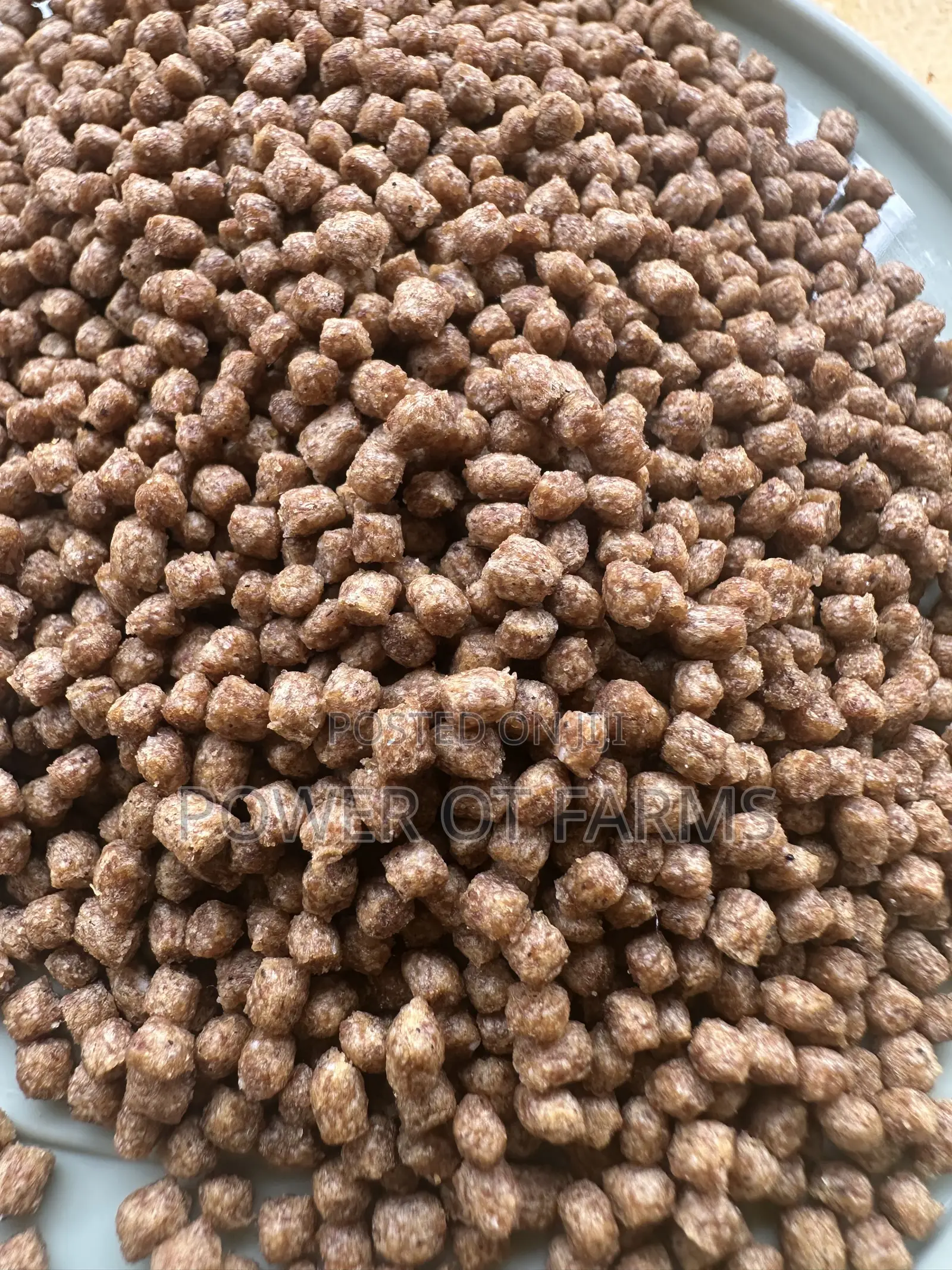 High Quality Fish Feed