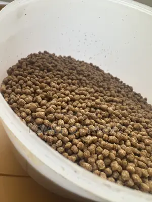 High Protein Fish Feed