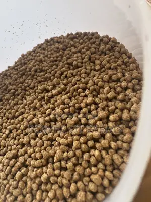 High Protein Fish Feed