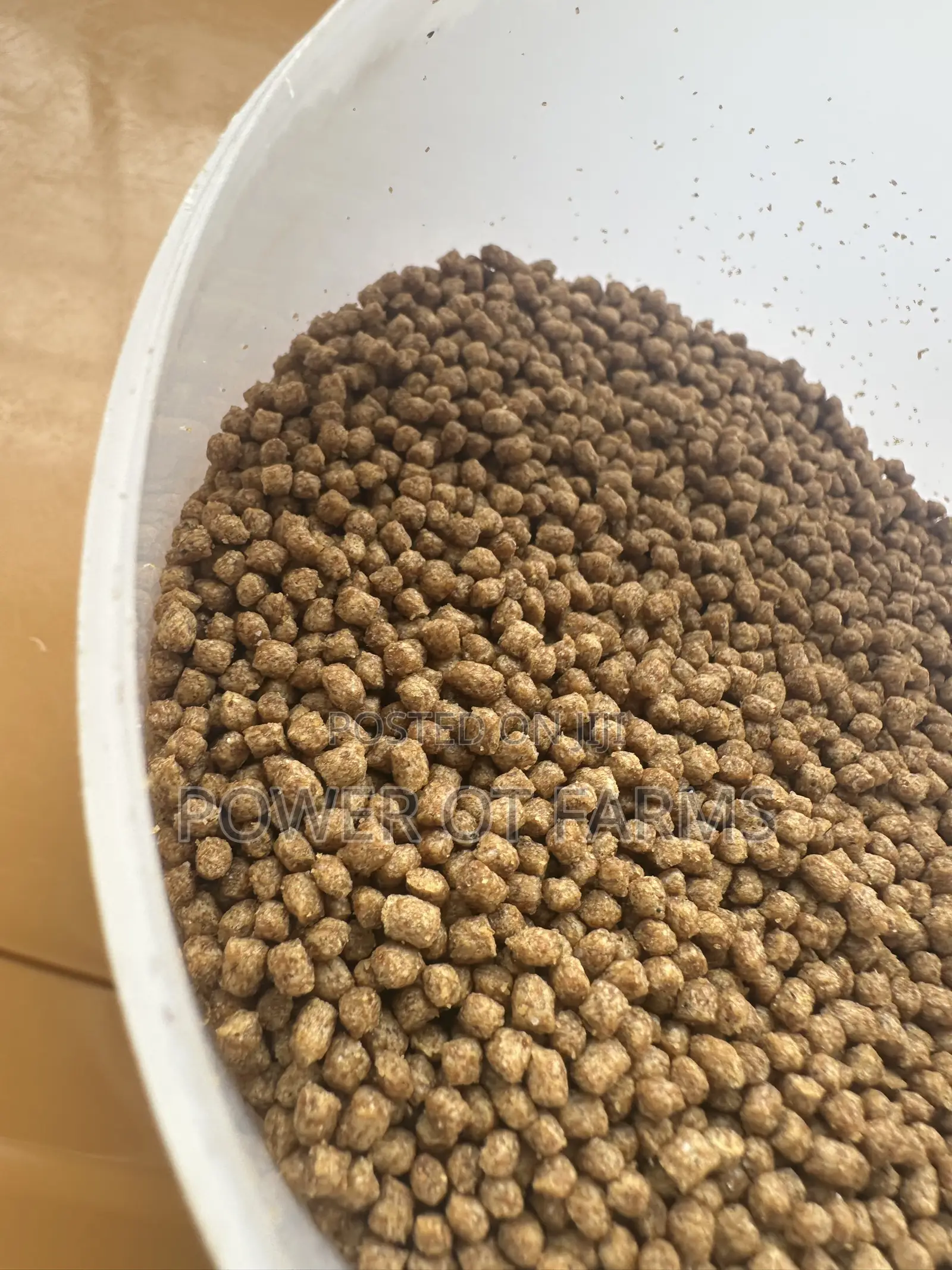 High Protein Fish Feed