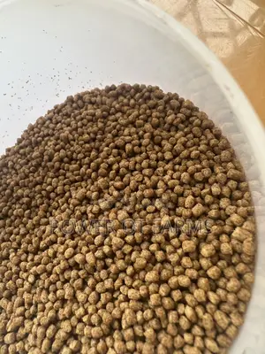High Protein Fish Feed