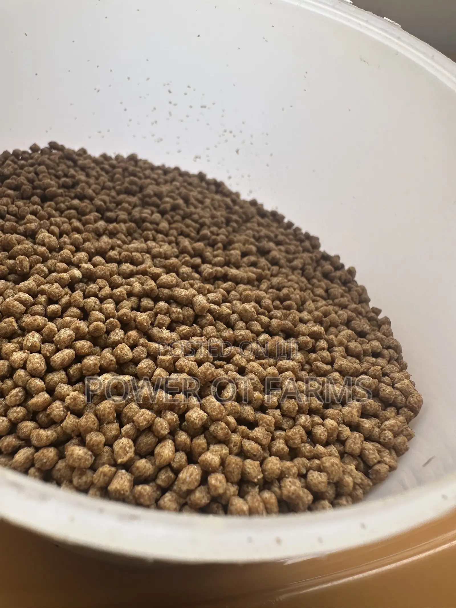 High Protein Fish Feed