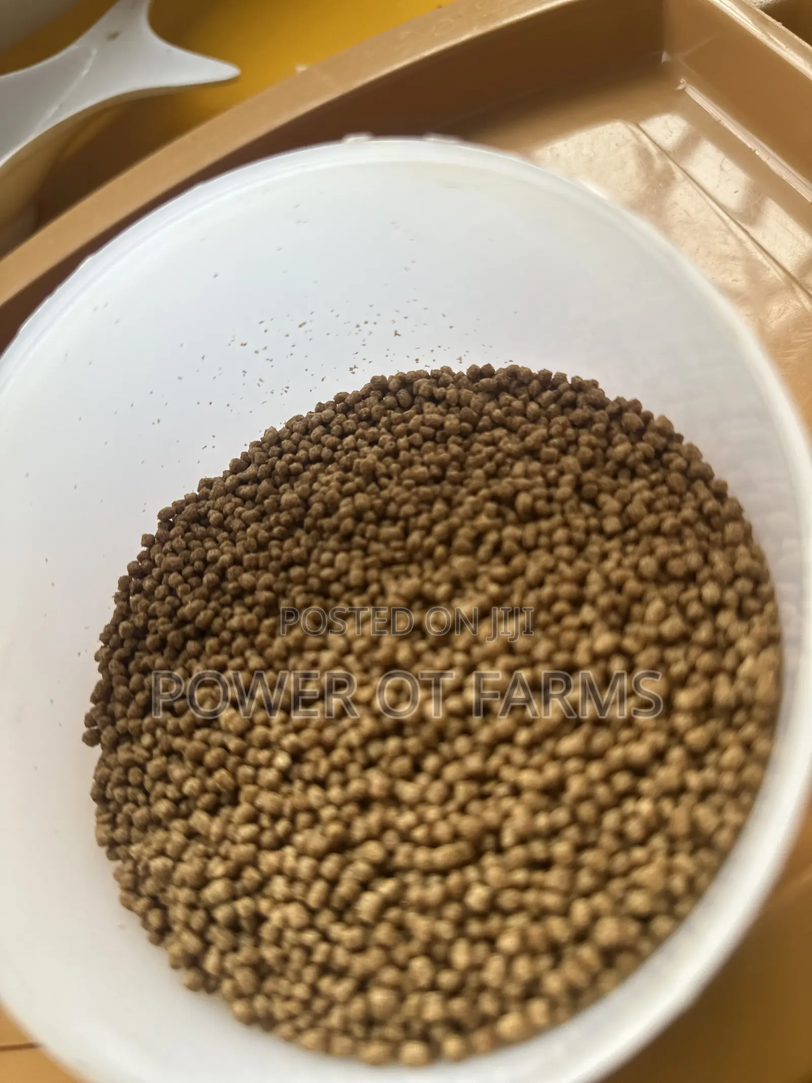 High Protein Fish Feed