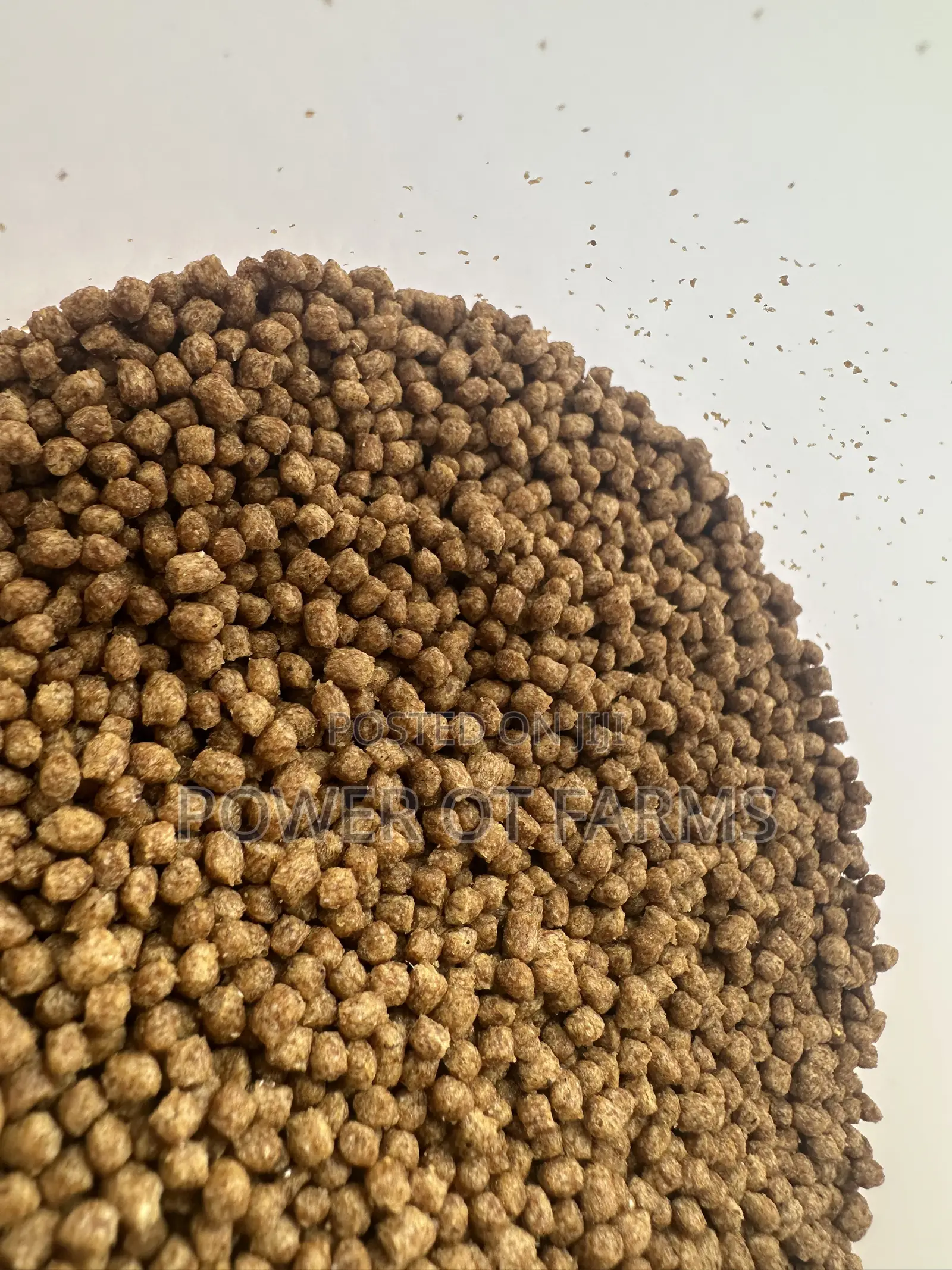 High Protein Fish Feed