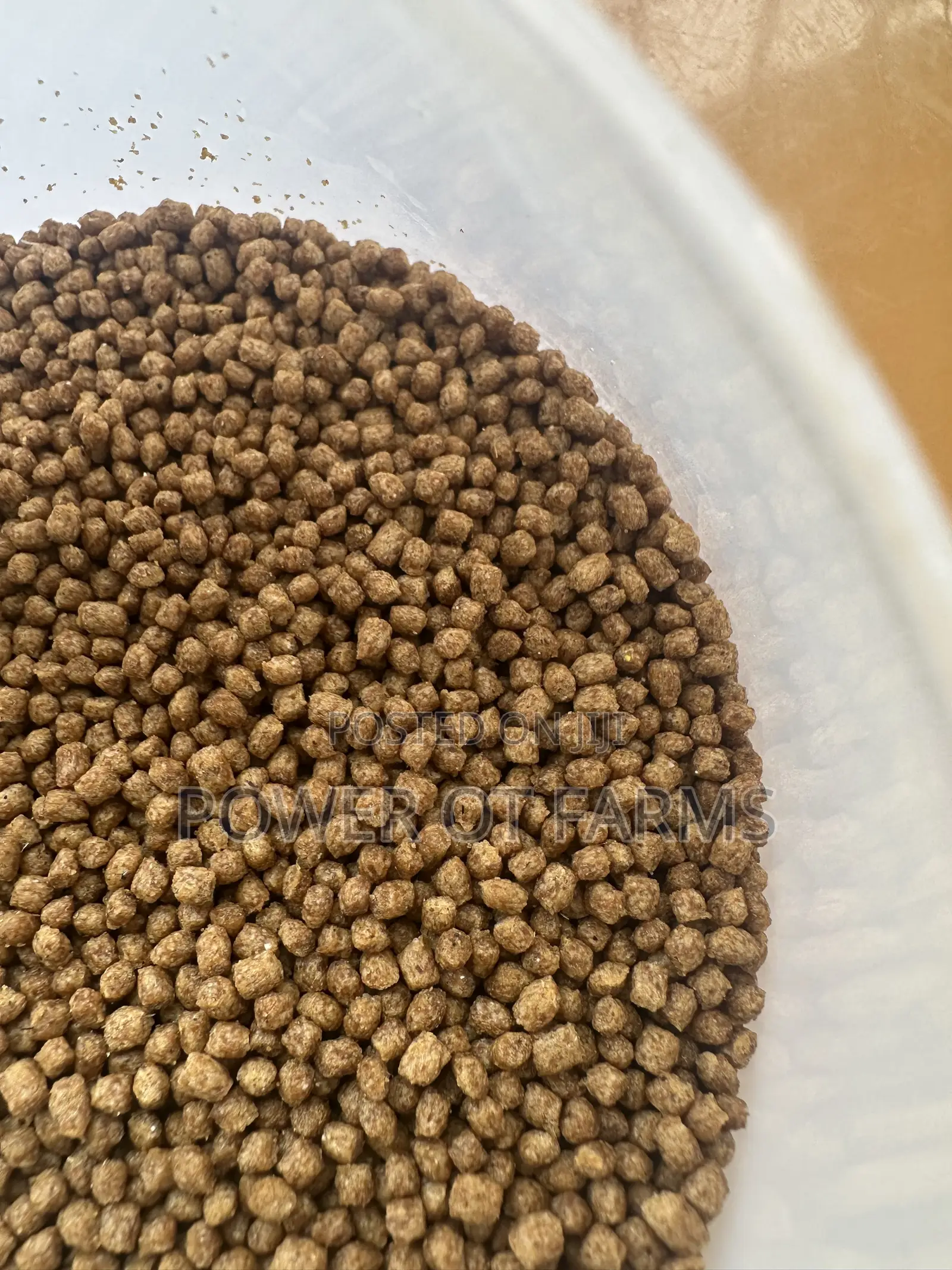 High Protein Fish Feed