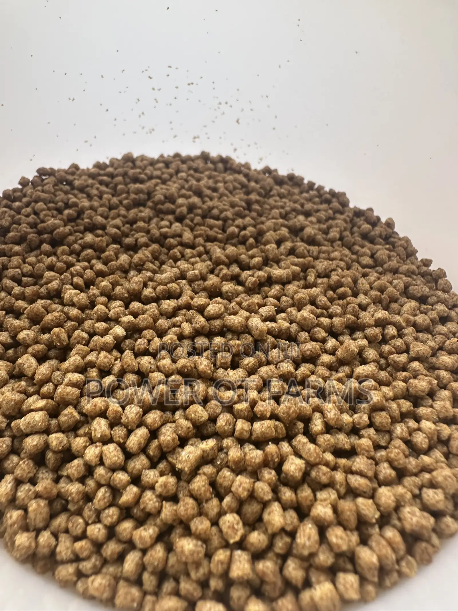 High Protein Fish Feed