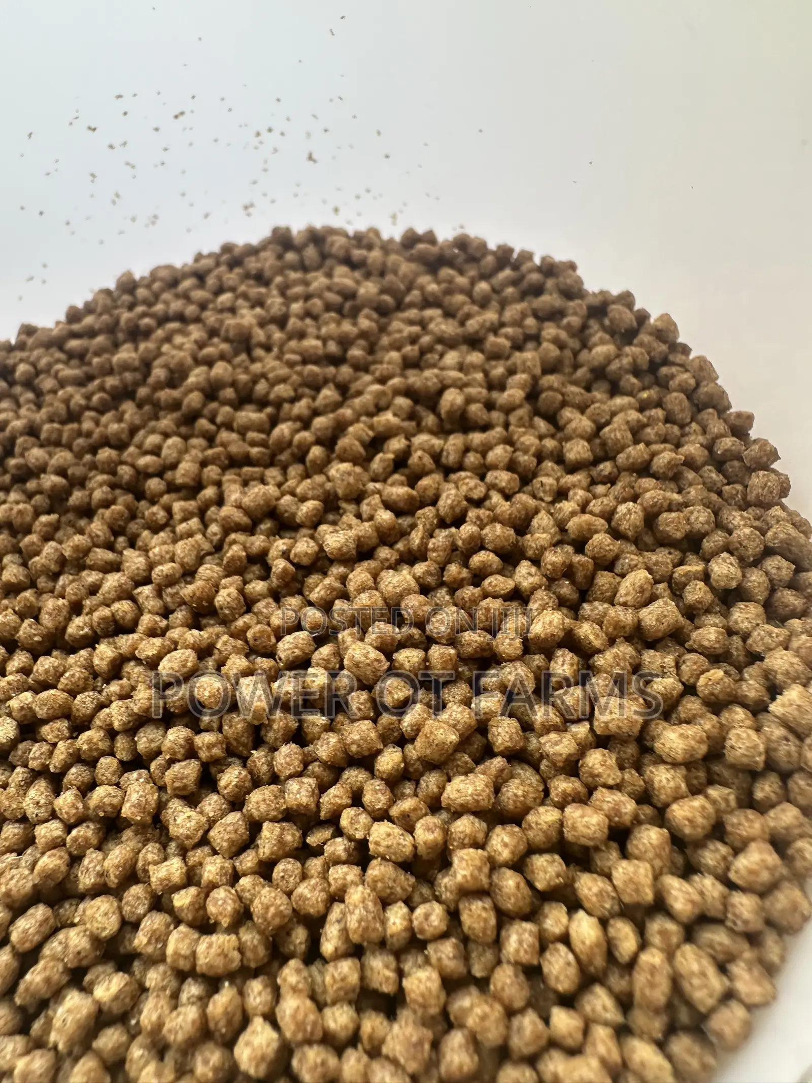 High Protein Fish Feed