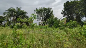 Volta Region, Afadjato Dist (Tafi) _ 150+ Acres Farmland