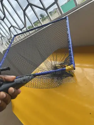 Fish Scoop Net