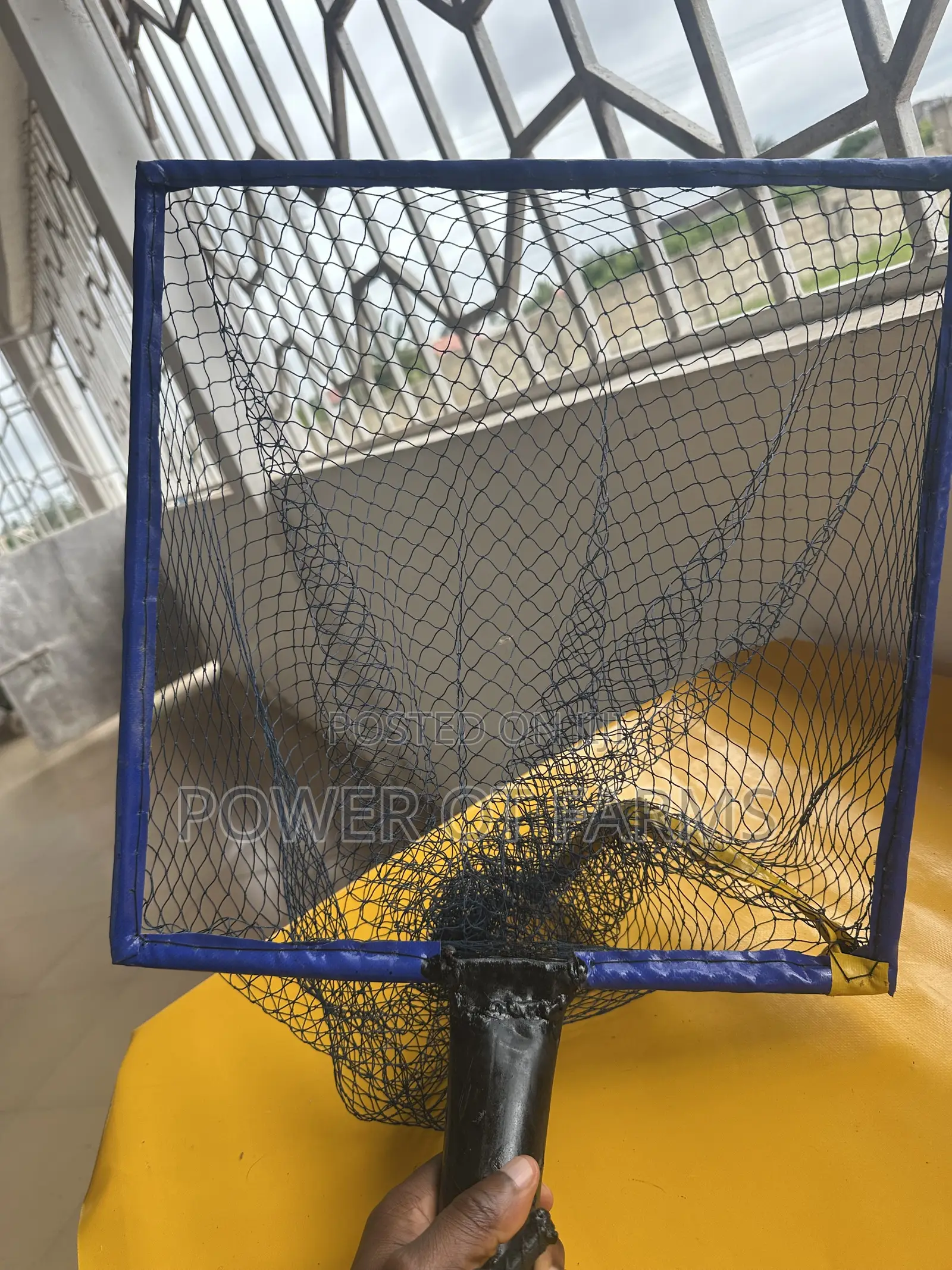 Fish Scoop Net