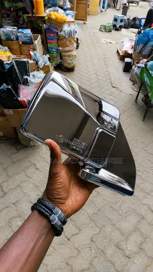 Chrome Side Mirror - Cecilia Mirror