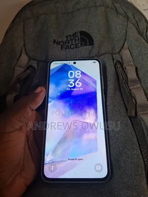 Samsung Galaxy A55 256 GB