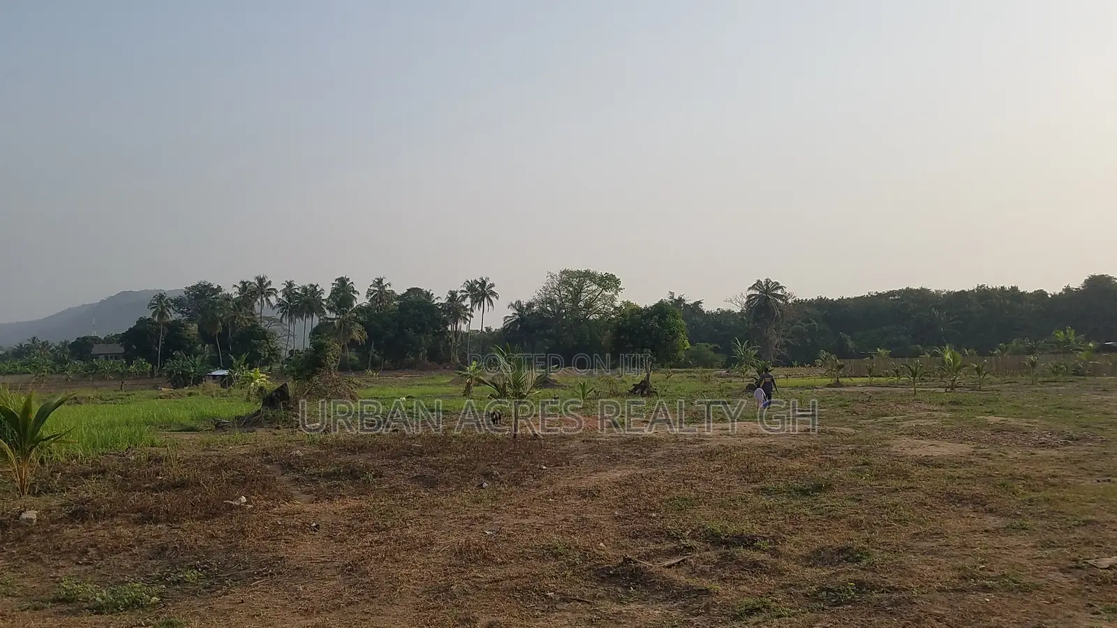 E/R, ASUOGYAMAN DIST (SENCHI) _ 4 Plots Building Land