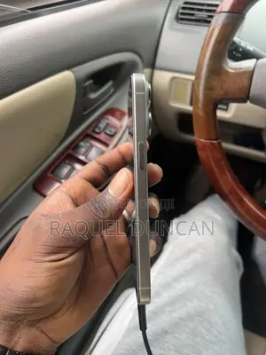 Apple iPhone 15 Pro Max 256 GB Silver