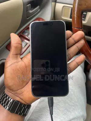 Apple iPhone 15 Pro Max 256 GB Silver