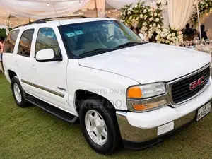 Driver and Car Rental