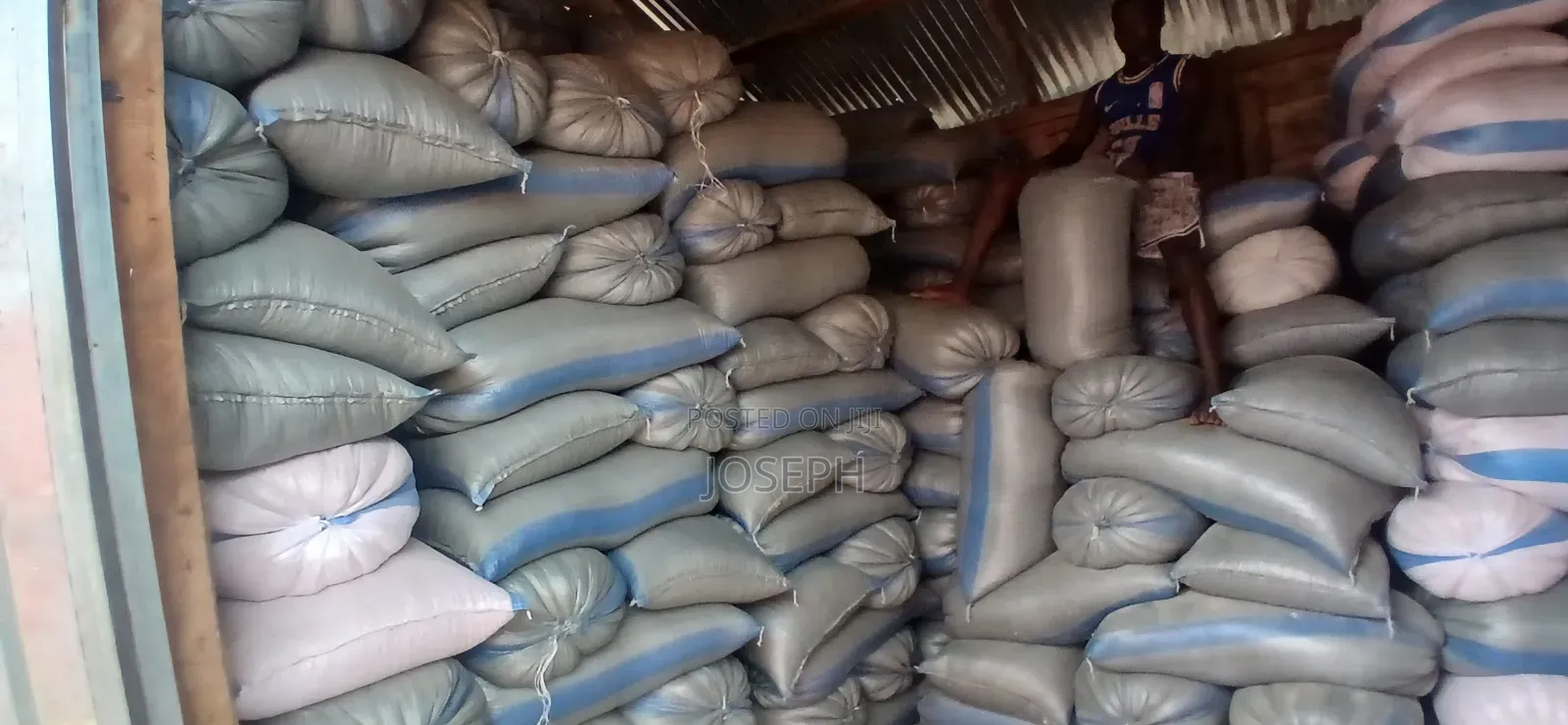 Yellow Maize for Sale in 50kgs