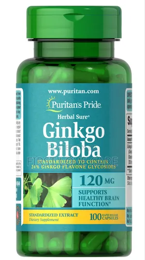 Puritan Pride Ginkgo Biloba Standardized Extract 120 Mg