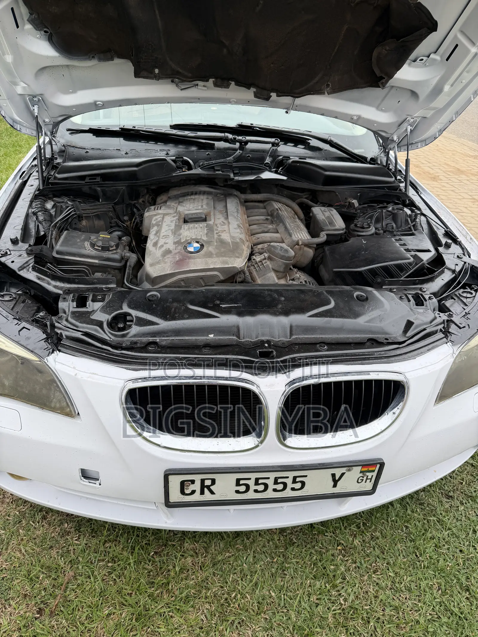 BMW 523i 2011 White