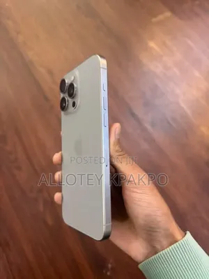 Apple iPhone 15 Pro Max 256 GB Silver