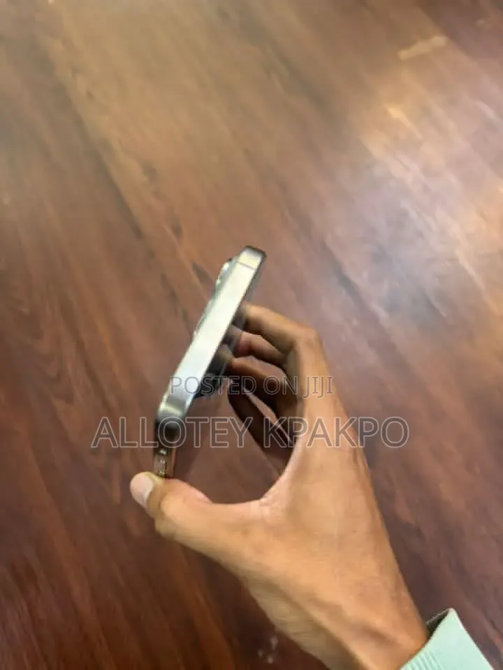 Apple iPhone 15 Pro Max 256 GB Silver
