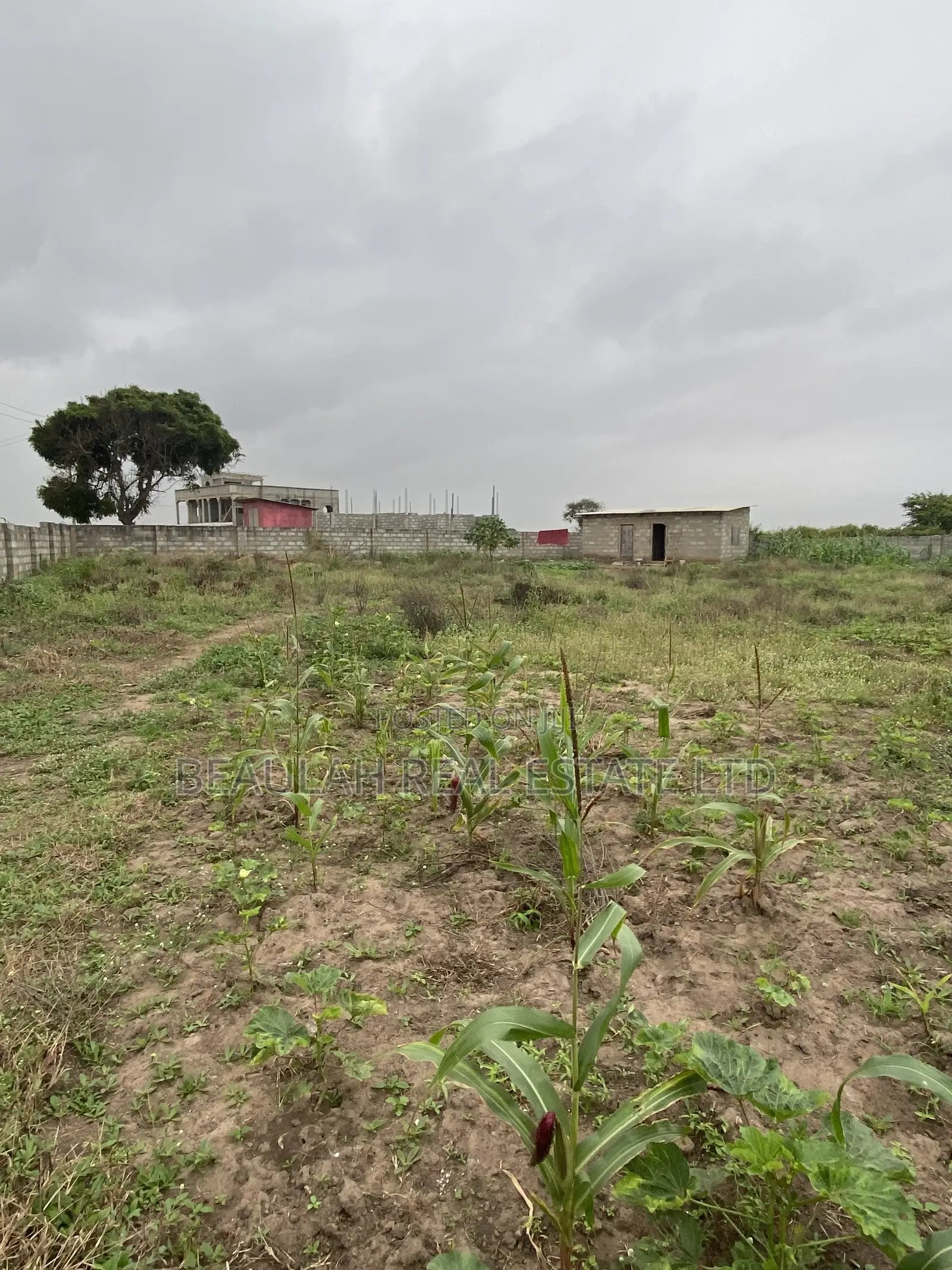 Ten (10) Titled Plots – Beachside Land for Sale in Prampram