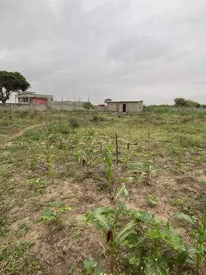 Ten (10) Titled Plots – Beachside Land for Sale in Prampram