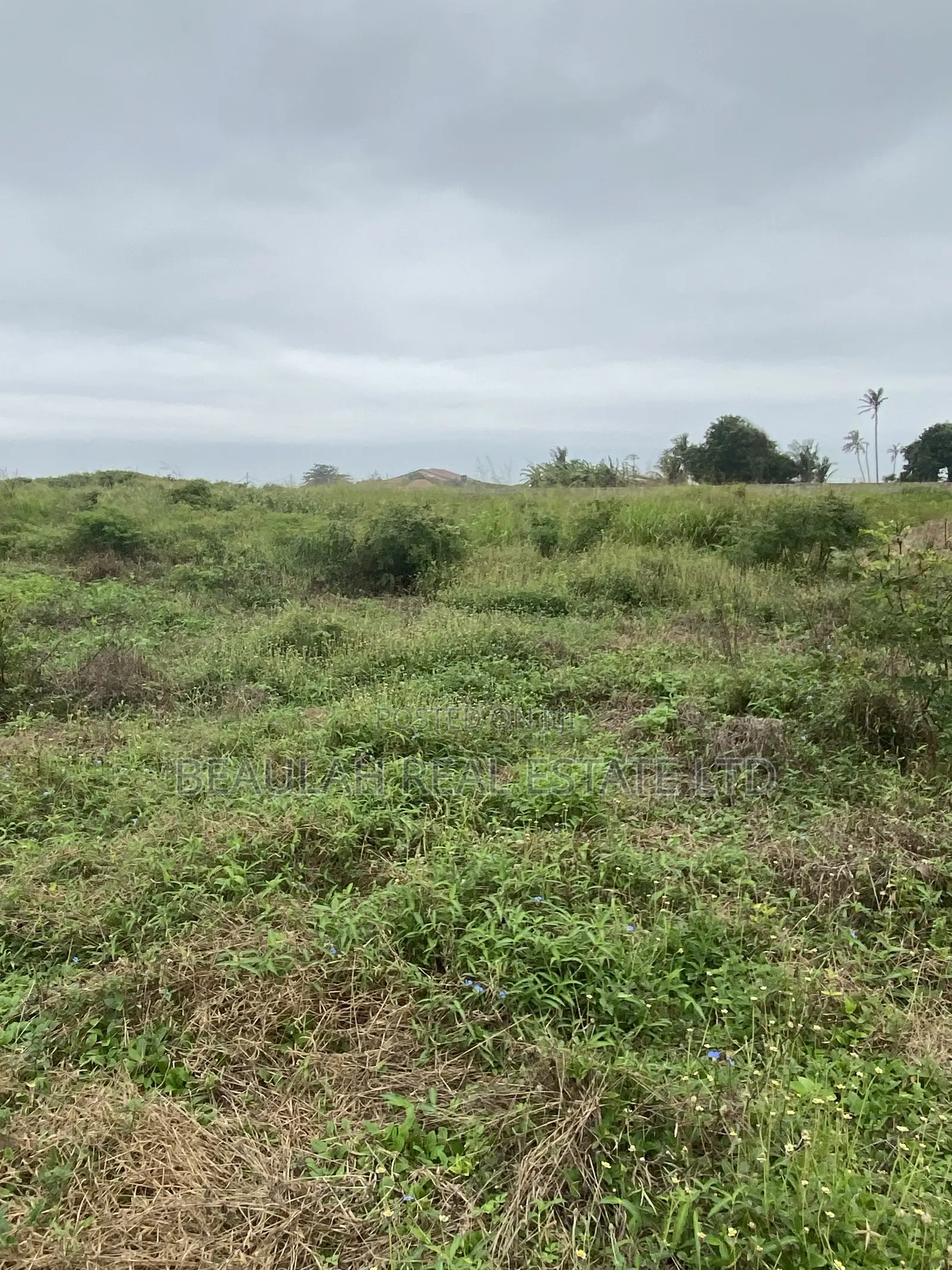 Ten (10) Titled Plots – Beachside Land for Sale in Prampram