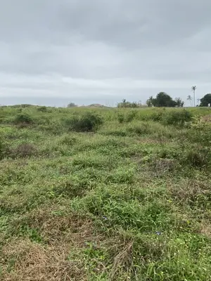 Ten (10) Titled Plots – Beachside Land for Sale in Prampram