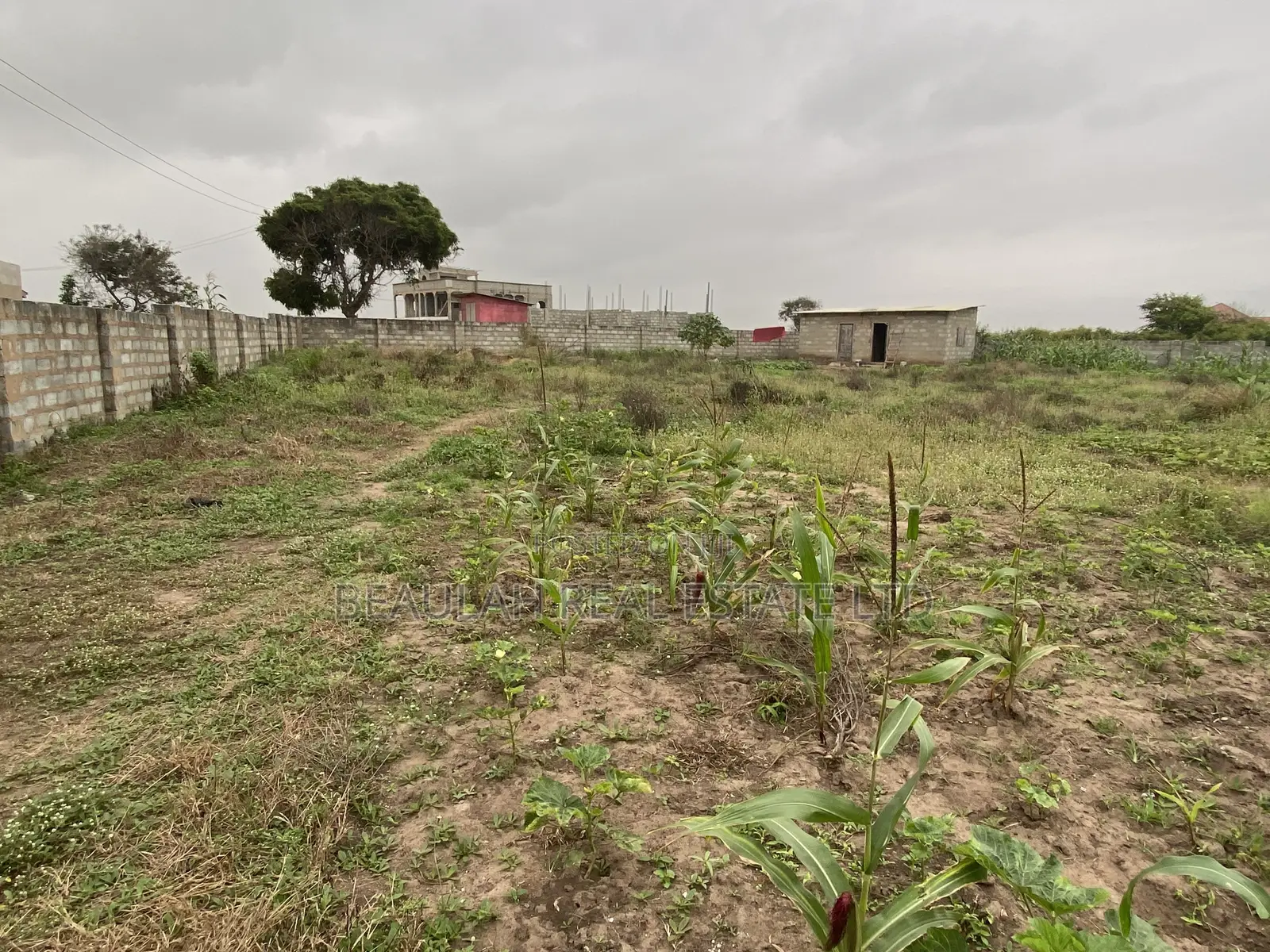 Ten (10) Titled Plots – Beachside Land for Sale in Prampram