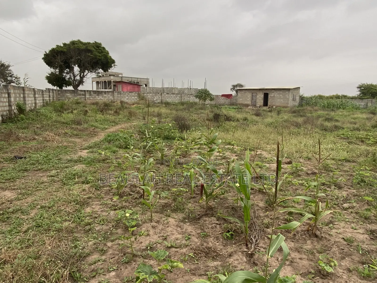 Ten (10) Titled Plots – Beachside Land for Sale in Prampram