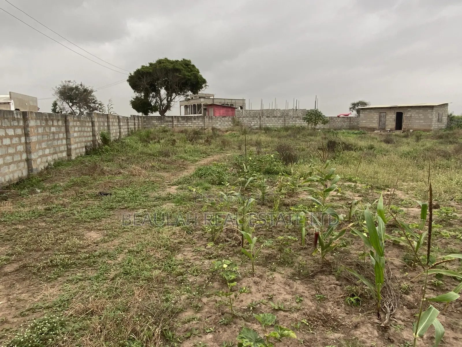 Ten (10) Titled Plots – Beachside Land for Sale in Prampram