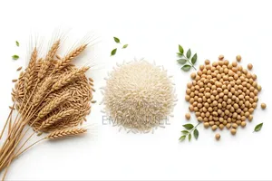 TRE-EN-EN Grain Concentrates