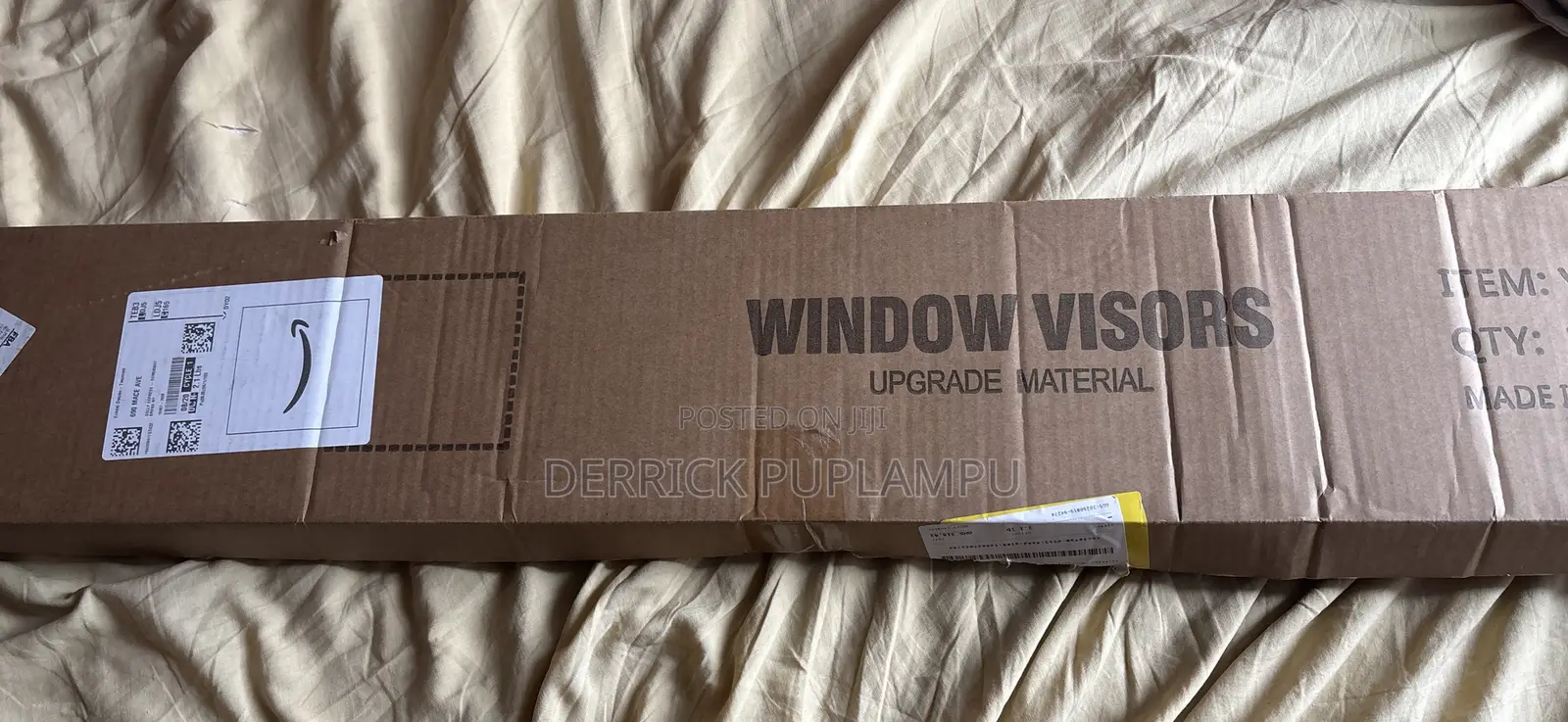 Window Visor