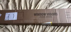 Window Visor