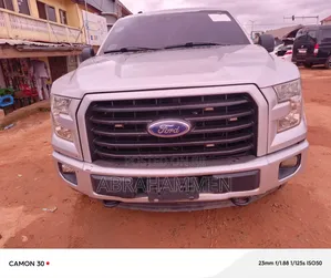 Ford F-150 2017 Silver