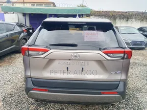 Toyota RAV4 2023 Brown