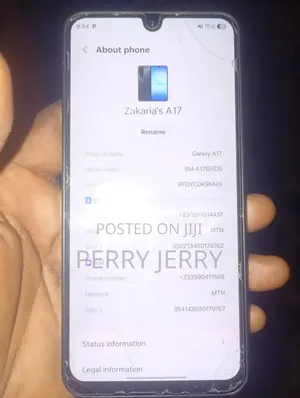 Samsung Galaxy A17 128 GB Black