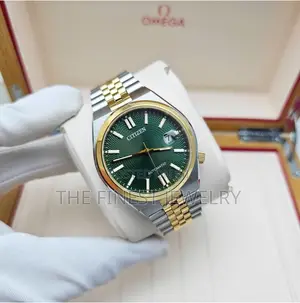 Citizen Automatic NK0024-54X Tsuyosa - Men's Watch